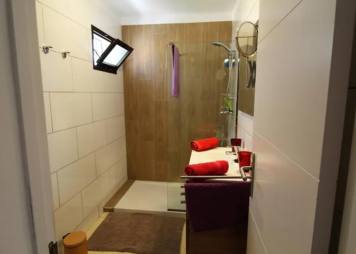 Bambu Arona (Tenerife)